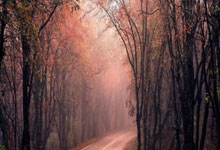 开云下载-今晚美洲杯：尤文爆冷詹姆斯！数据揭露惊天逆转密码