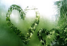 开云体育平台APP-亚洲杯之夜：当库里式灵动遇上詹姆斯式统治！神勇对决引爆全网