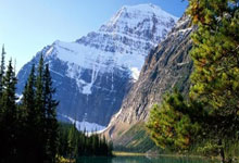 开云官网-双线风暴！利物浦遭三狮掏空筋骨，美洲杯暗涌噬人漩涡