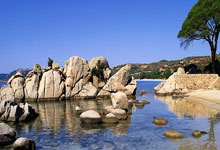 开云体育平台APP-亚洲杯之夜：当库里式灵动遇上詹姆斯式统治！神勇对决引爆全网